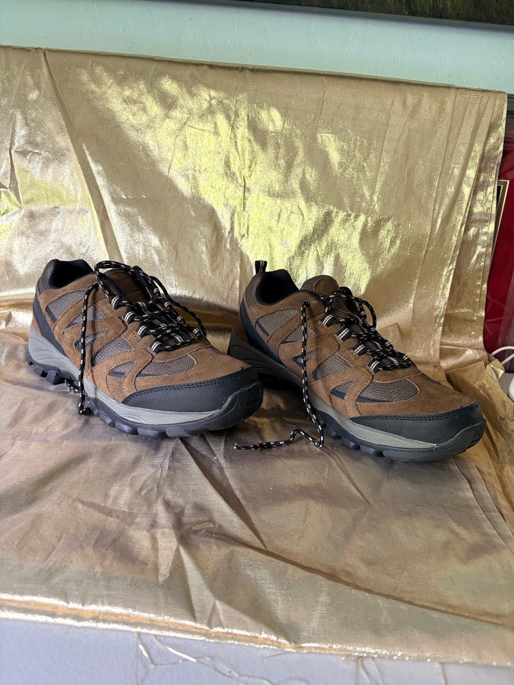 Itasca Brown and Black Men's Trail Athletic Shoes